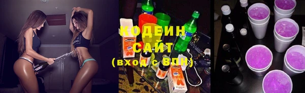 прущая мука Вяземский